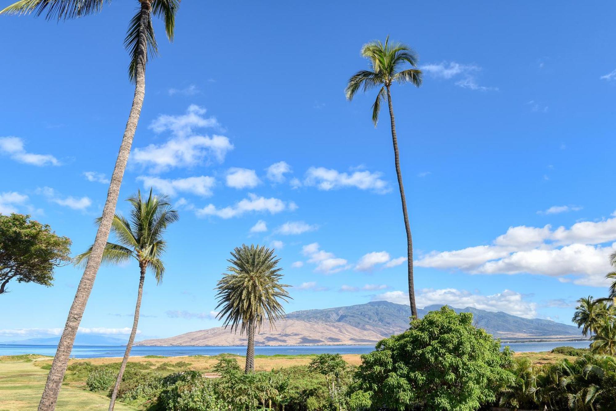 Kauhale Makai Villa Kihei Værelse billede