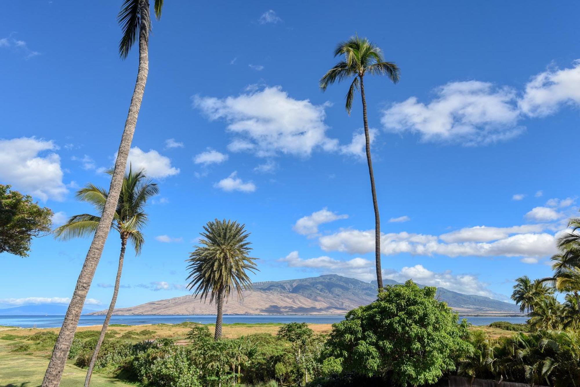 Kauhale Makai Villa Kihei Værelse billede