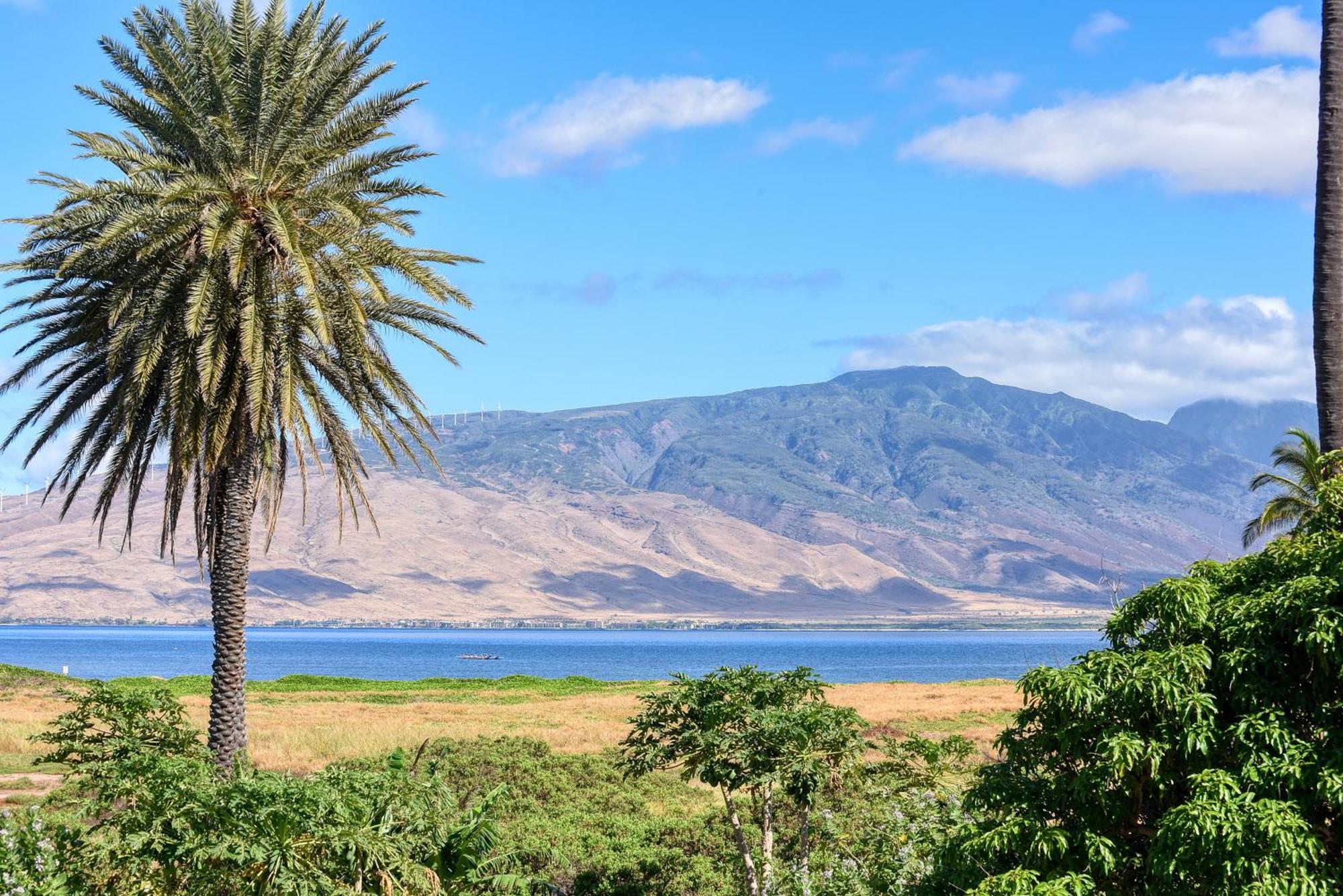 Kauhale Makai Villa Kihei Værelse billede