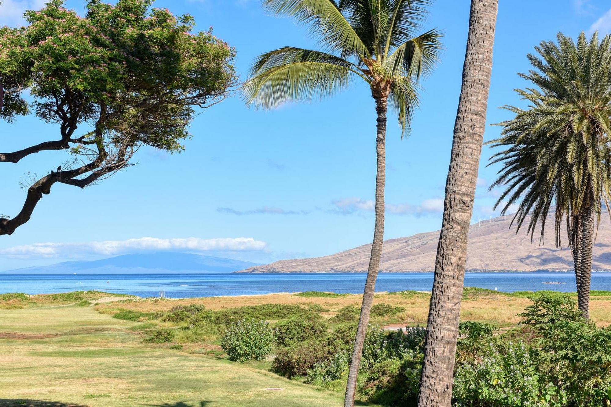 Kauhale Makai Villa Kihei Værelse billede